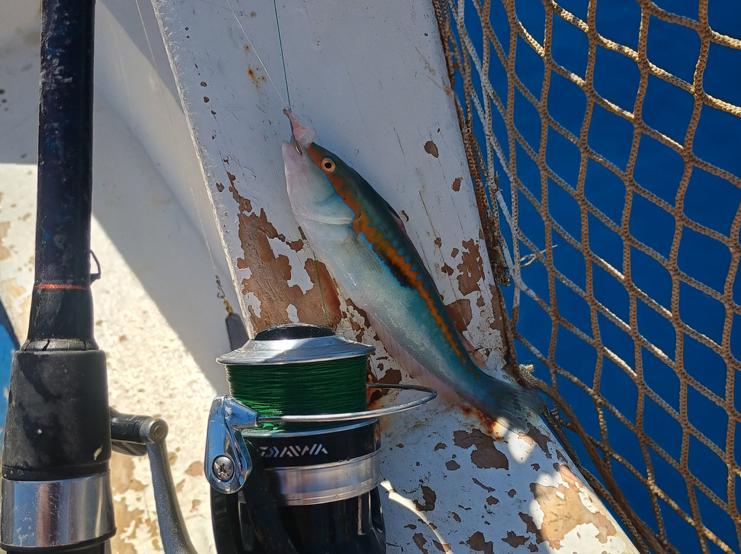 Fishing Trips Kalives-Kalyves必去景点