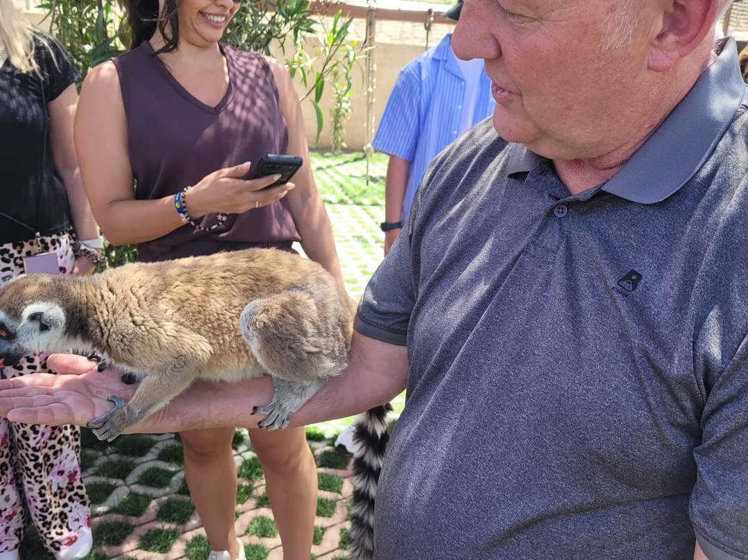 Farma of Rhodes Petting Zoo-Theologos必去景点