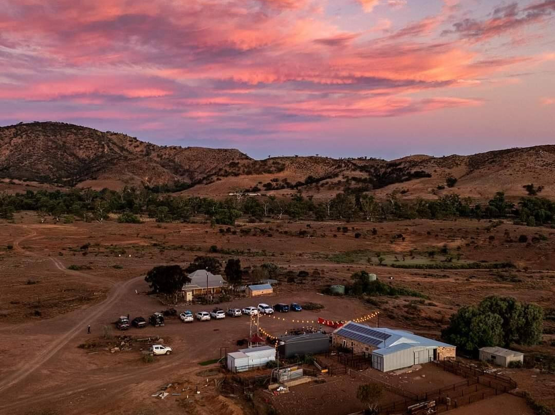 Mt Little Station