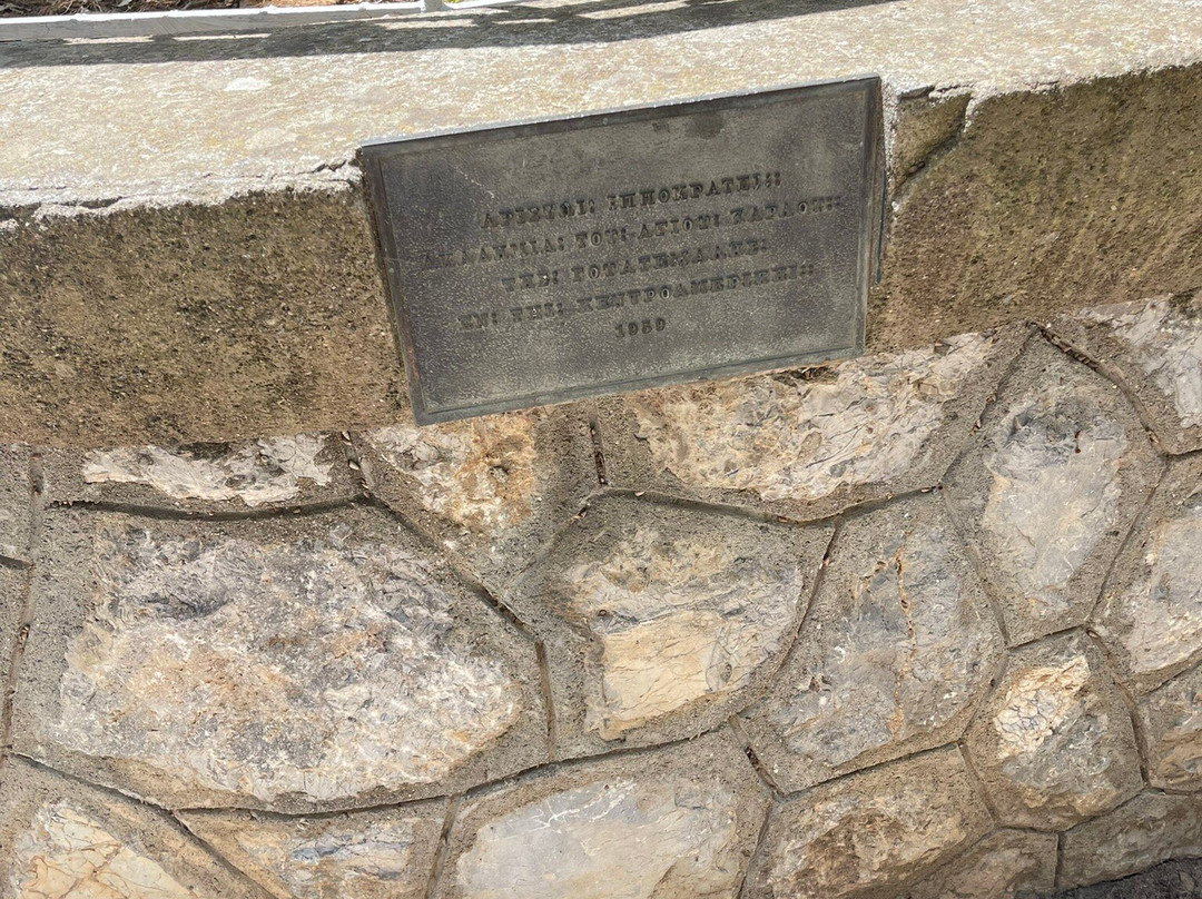 Hippocrates Tree-Kos Town必去景点