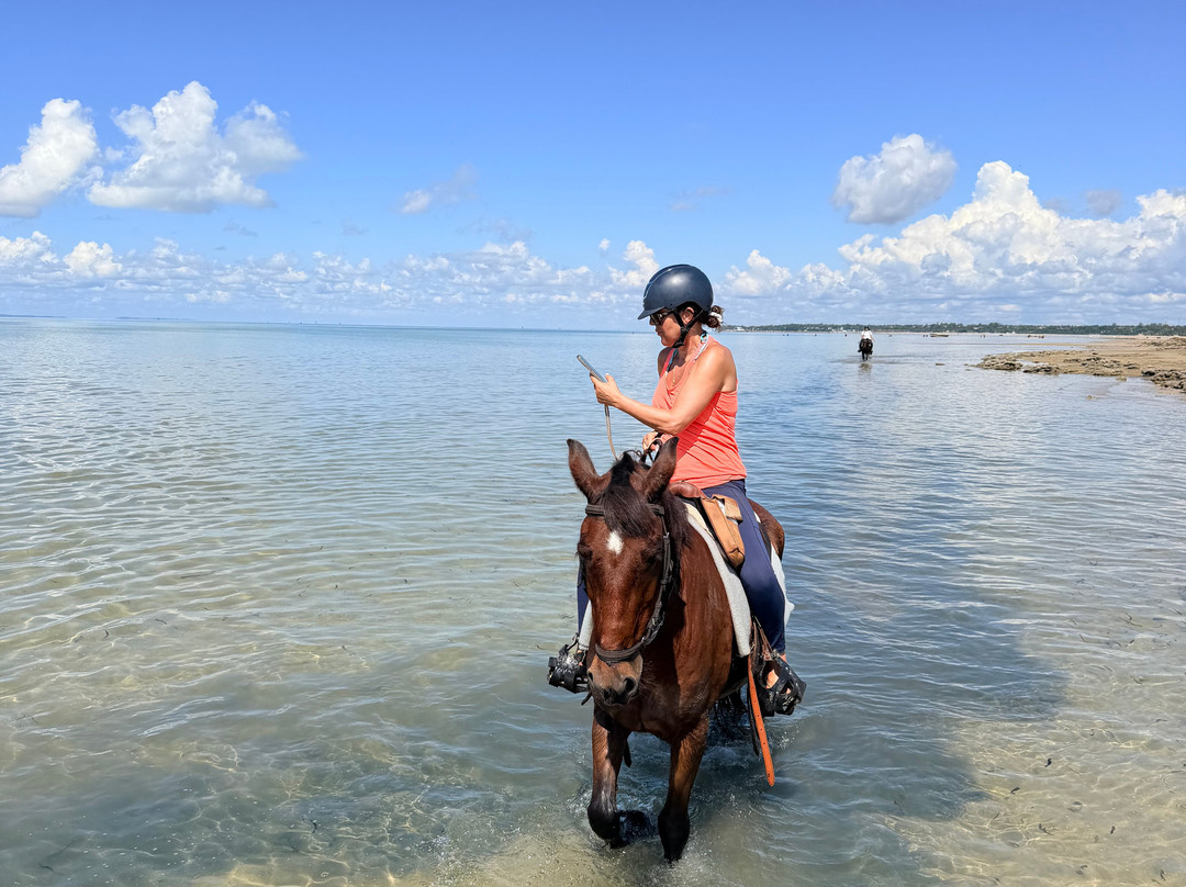 Mozambique Horse Safari-Vilanculos必去景点