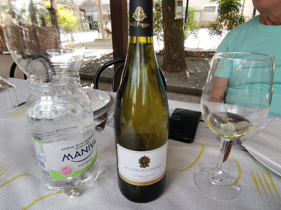 Fattoria Il Poggio-Montecarlo必去景点