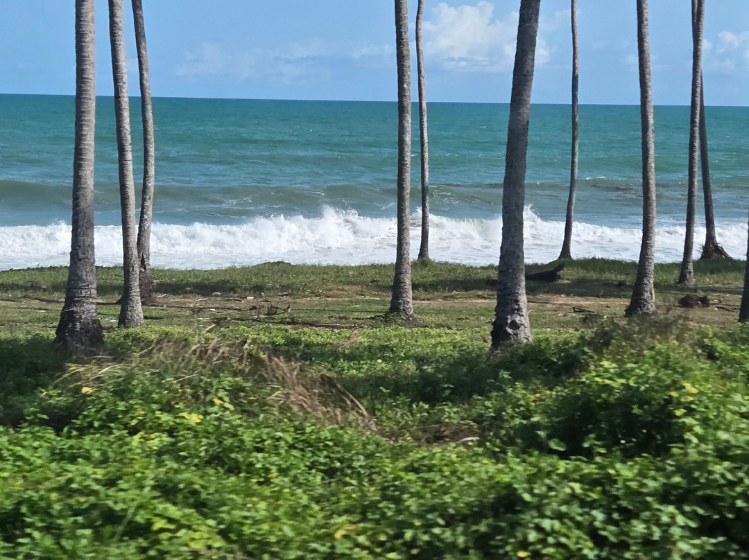 Uprise Travel-Tamale必去景点