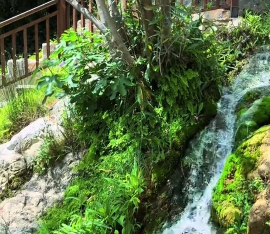 Fonts de l'Algar-Callosa d'En Sarria必去景点