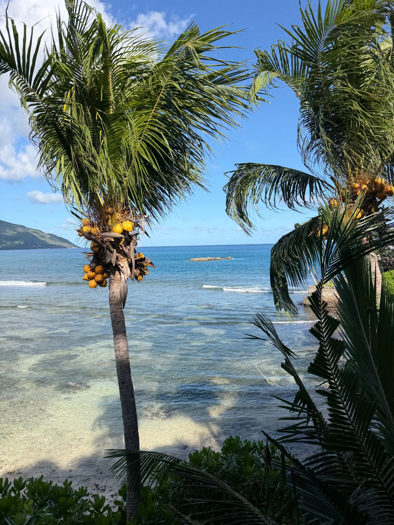 塞舌尔诺斯霍尔摩希尔顿度假酒店-旅行者