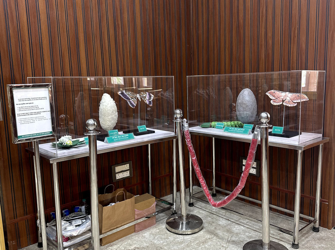 silk Interpretation Centre-潘恰玛必去景点