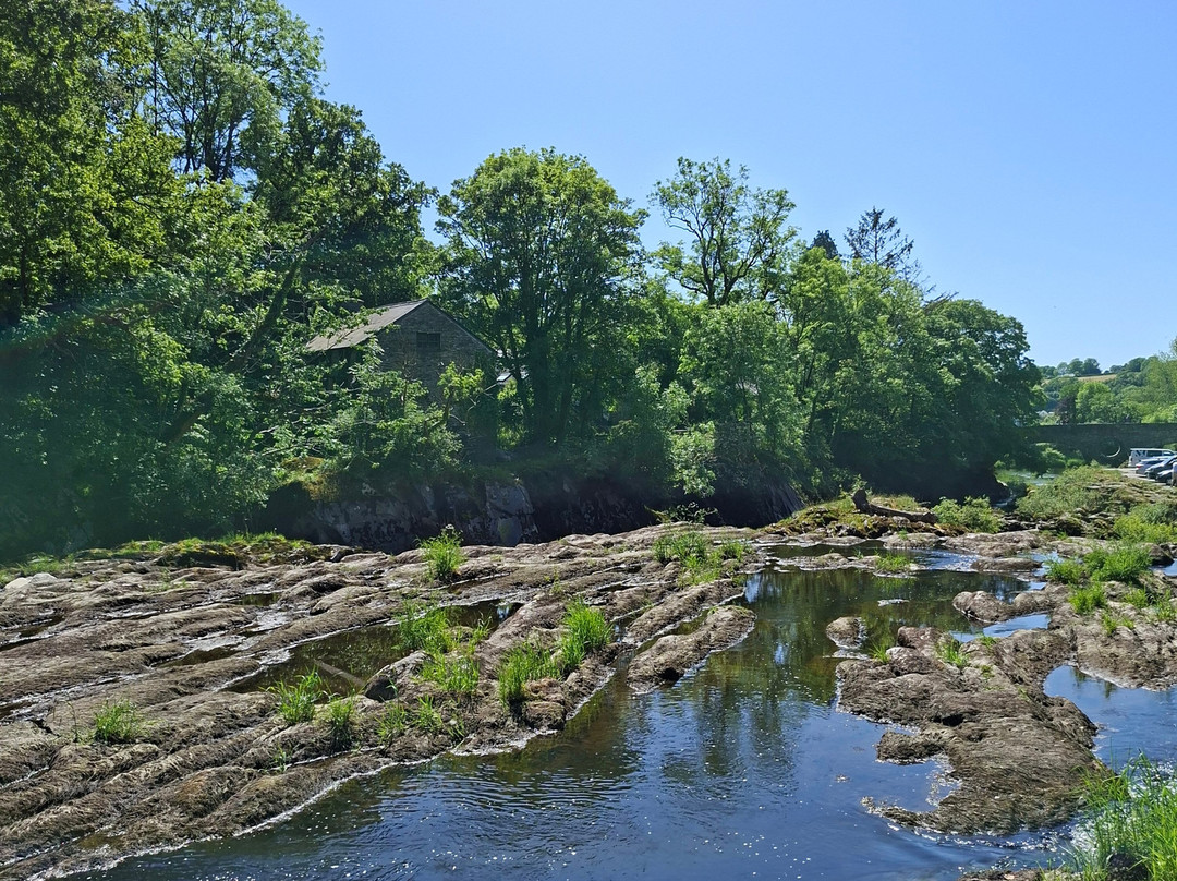 Cenarth Falls-Cenarth必去景点