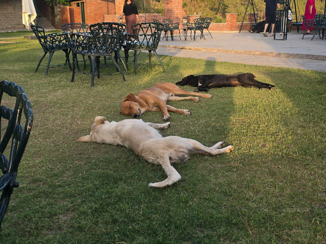 Baikunth Resort, Kasauli by Leisure Hotels主图