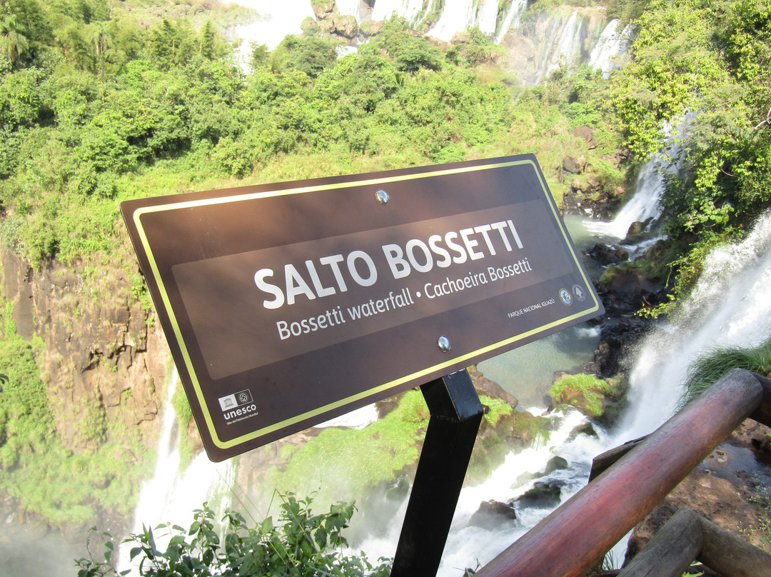 Salto Bossetti