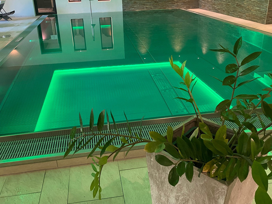 Waldhotel Grüner Baum主图