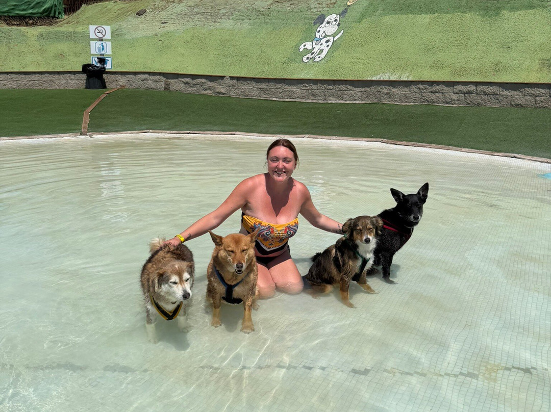 Aquapark Canino Perros Al Agua-拉罗卡德尔瓦列斯必去景点