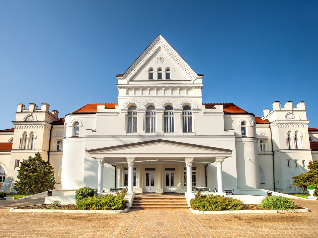 Łazienki II Palace Resort主图