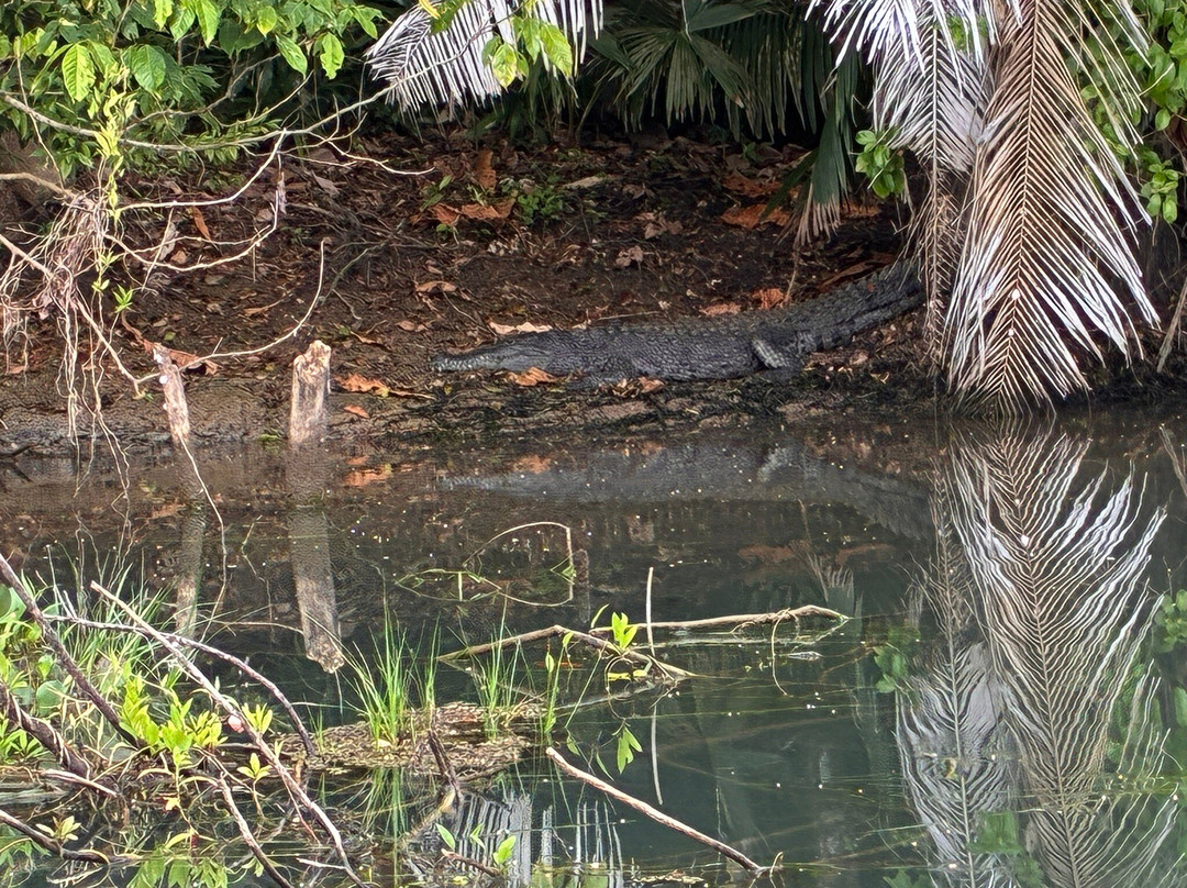 Panama Day Trips- Canal Eco Tours-巴拿马城必去景点