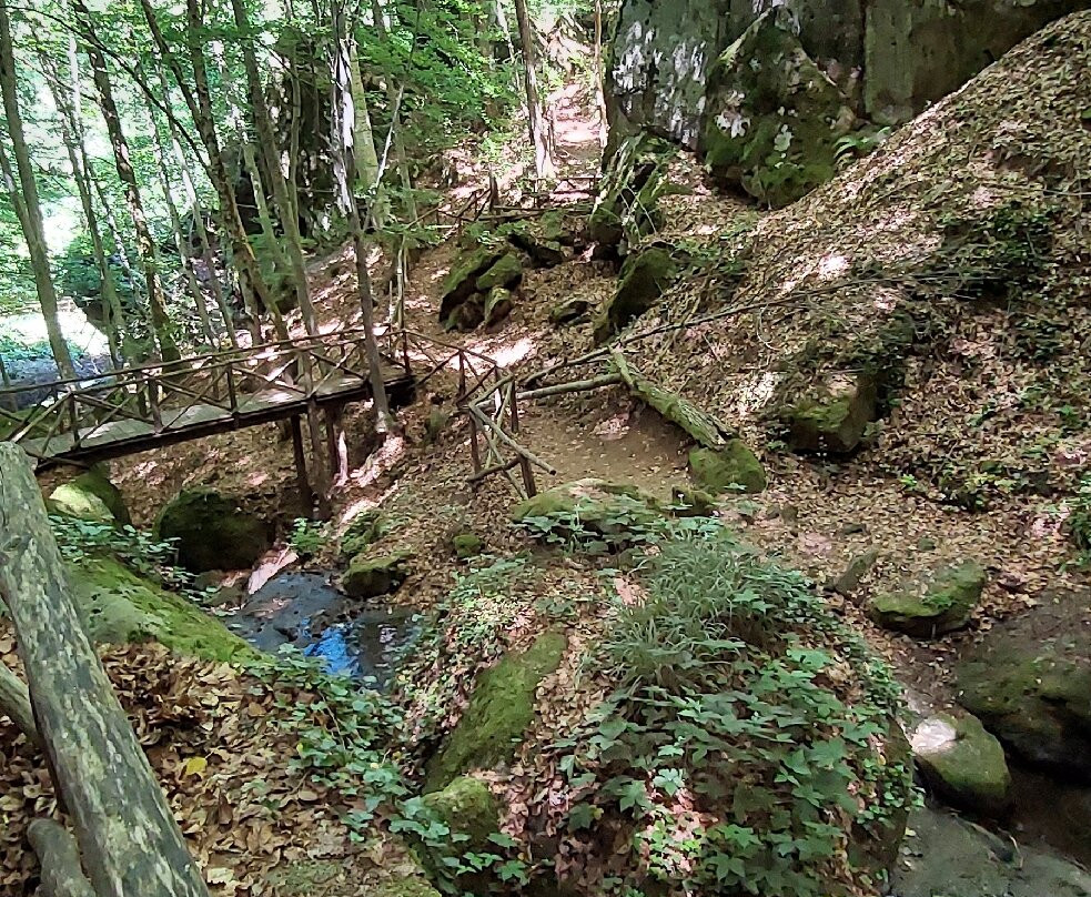 Parco Vivo Toscana-Vivo d'Orcia必去景点