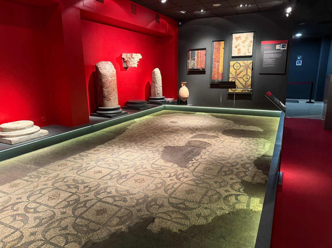 Museo Arqueologico Municipal de Yecla