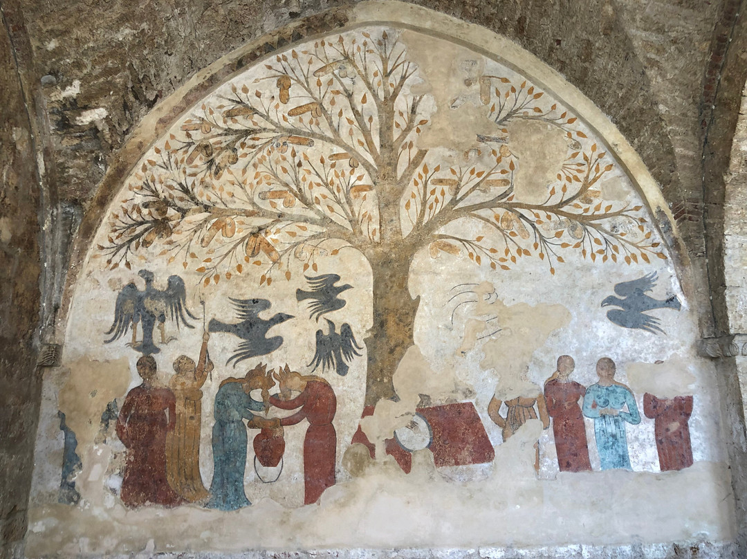 Fonte dell'Abbondanza • sec XIII-马萨马里蒂马必去景点