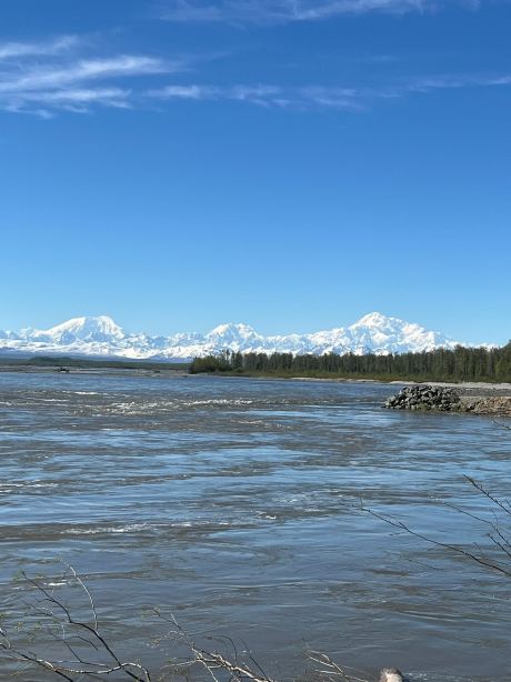 Talkeetna Cabins-旅行者