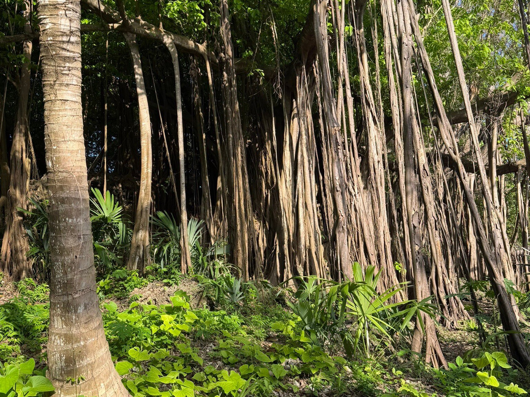 Isla Fuerte Eco House主图