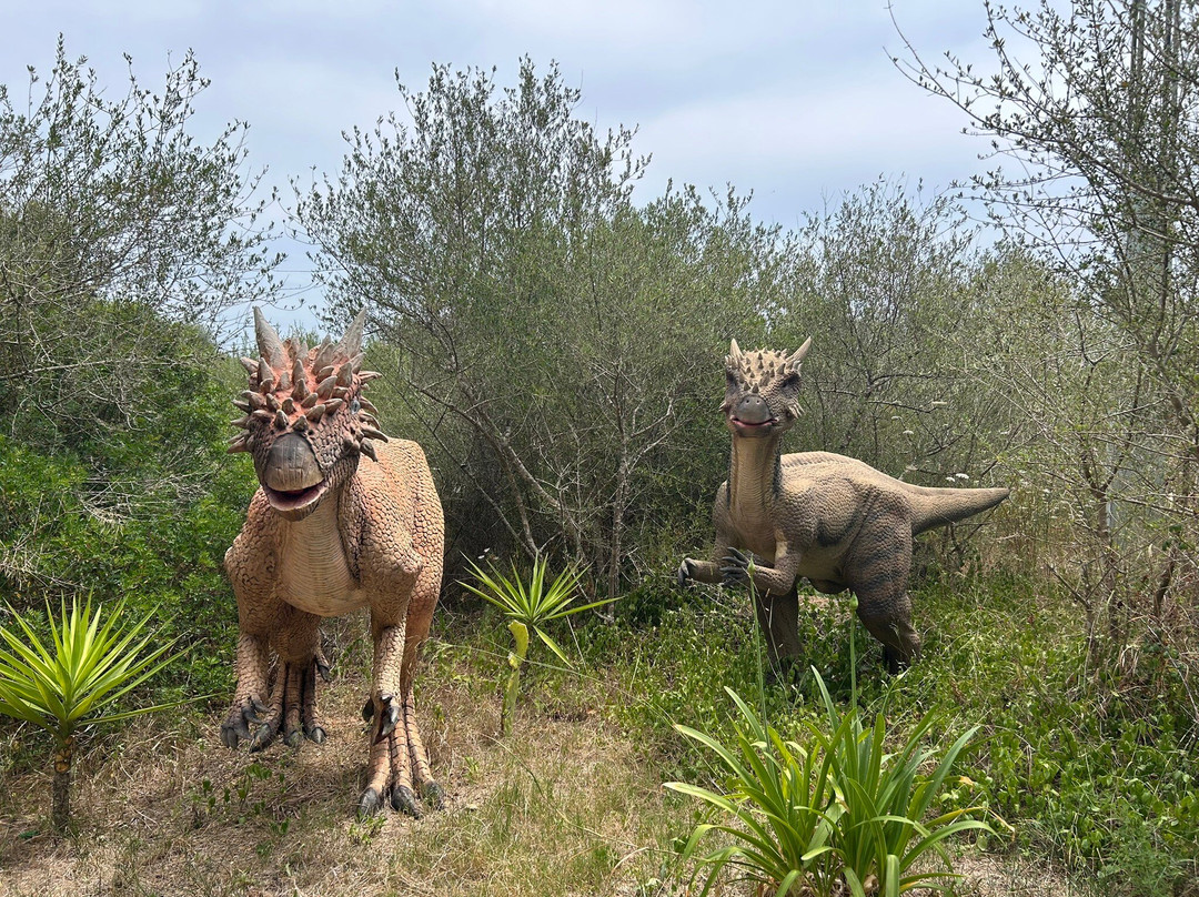 Dinosaurland-克里斯托港必去景点
