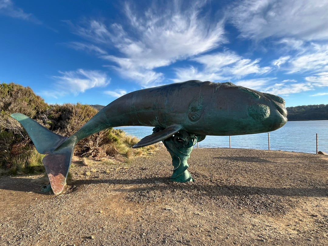 Southern Right Whale Sculpture-Southport必去景点