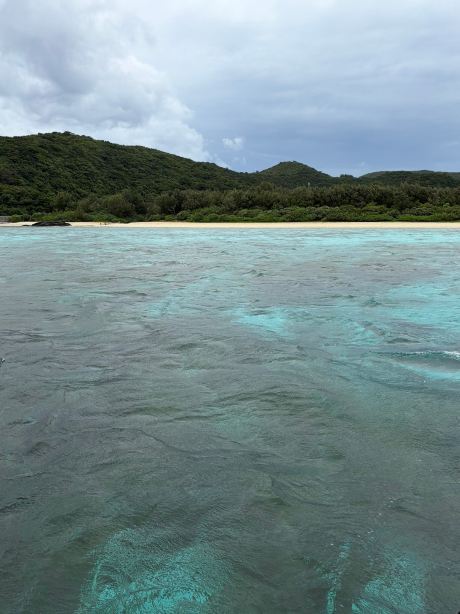 大洋港村山按摩-旅行者