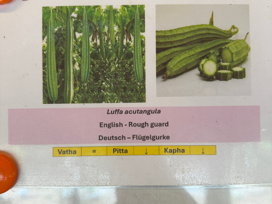 Nilaveli Ayurveda Gesundheitszentrum主图