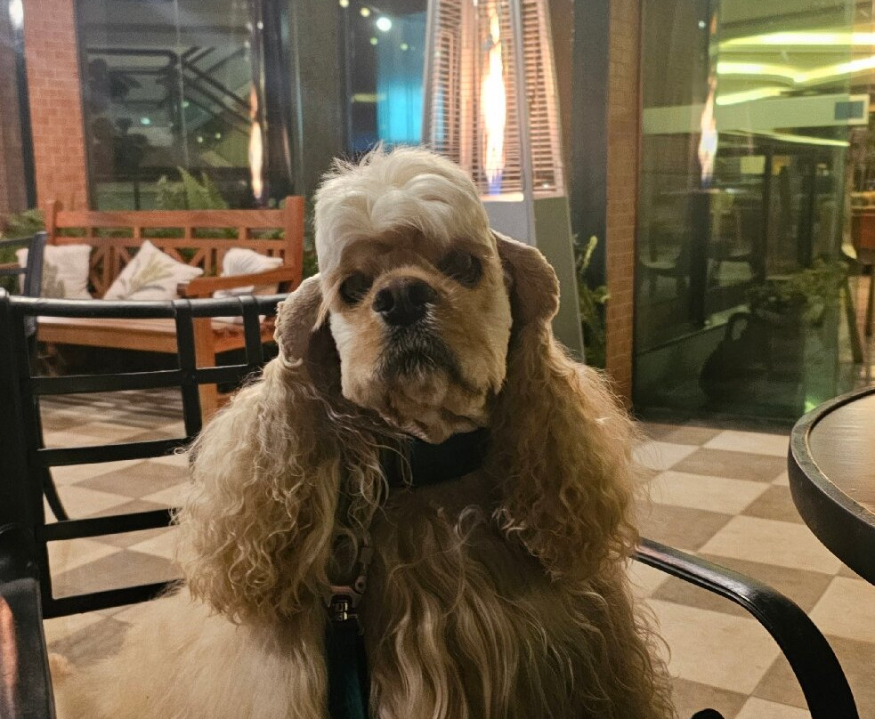 奥斯卡生态度假酒店主图