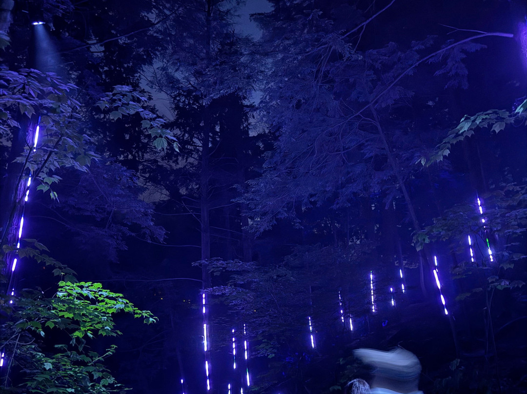 Foresta Lumina-Coaticook必去景点