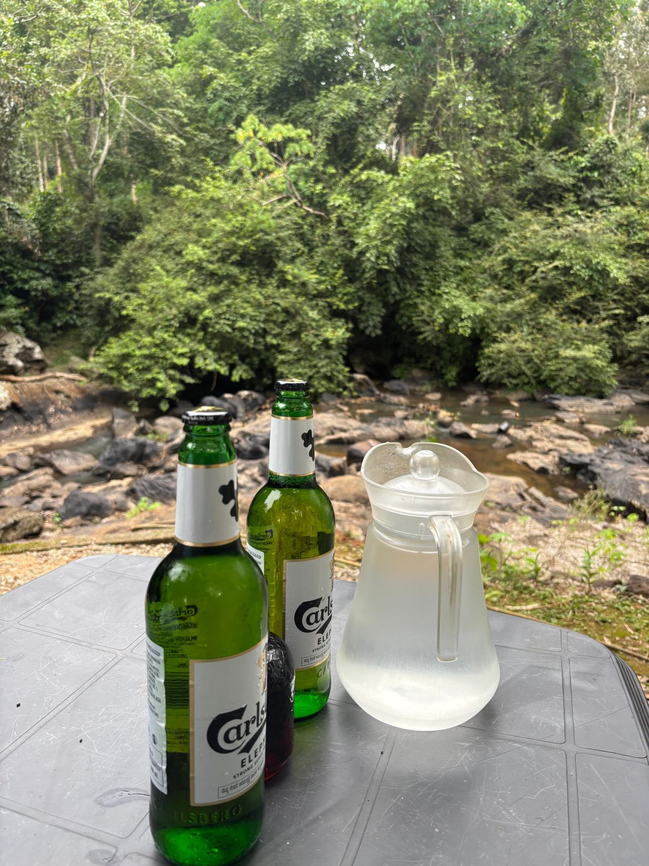 库格阿瓦代尔酒店-旅行者