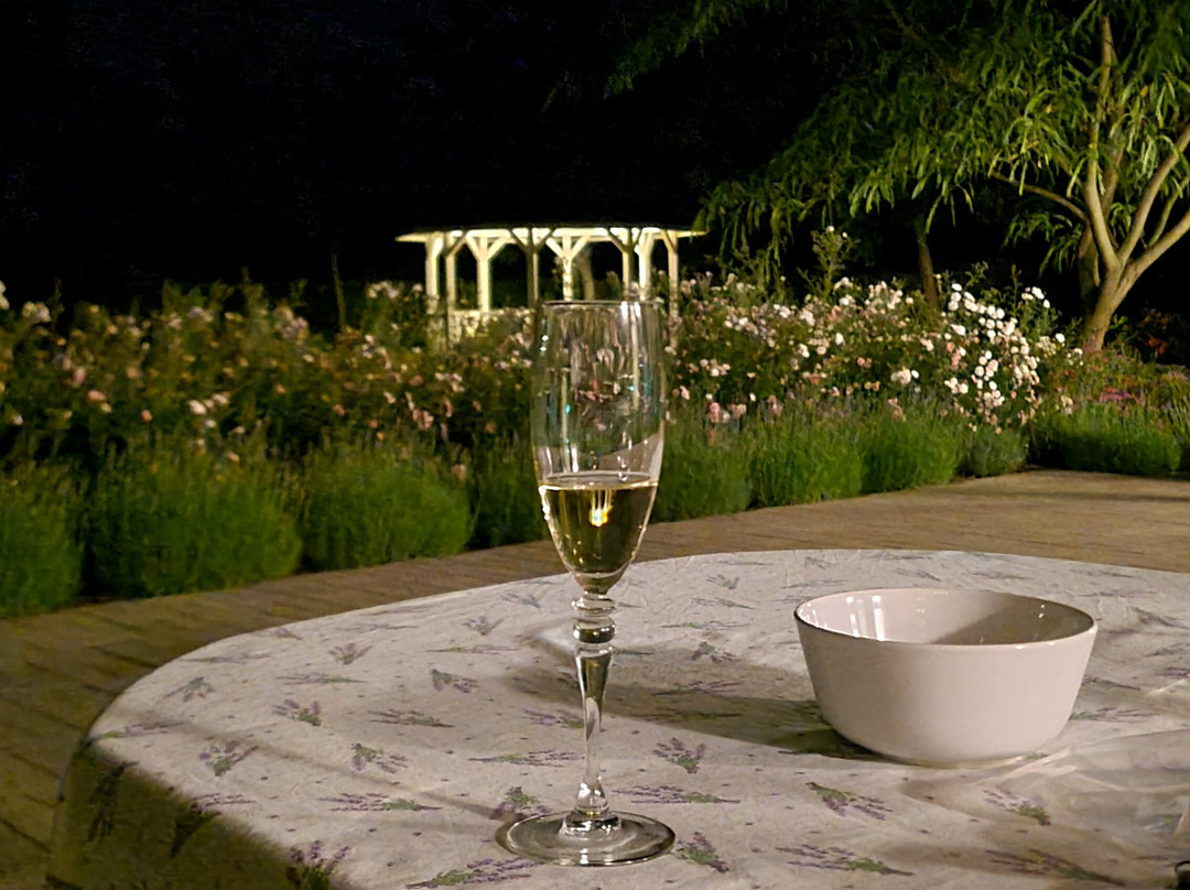 Tisza Lodge B&B - Panzio主图
