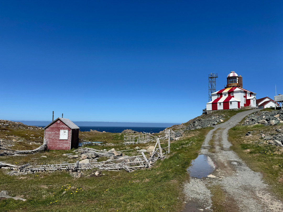 Cape Bonavista Lighthouse-Bonavista必去景点