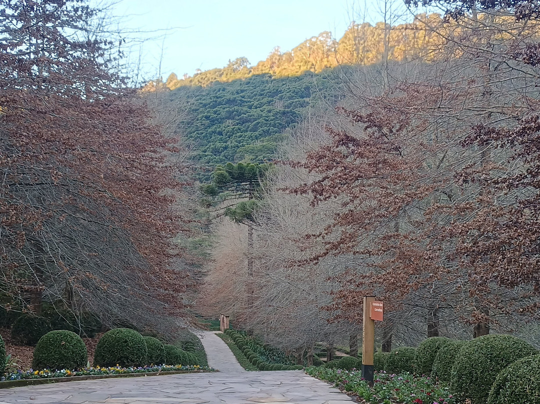 Garden Park Gramado-格拉玛多必去景点