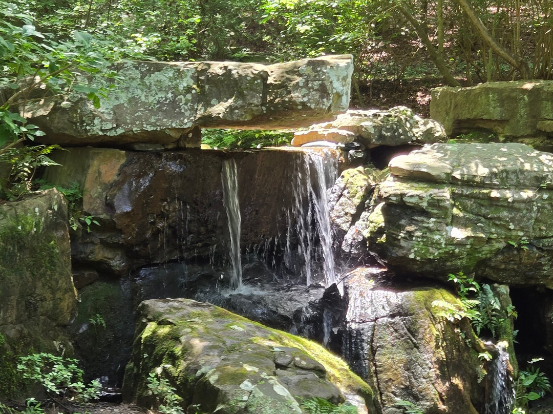Garvan Woodland Gardens-温泉城必去景点