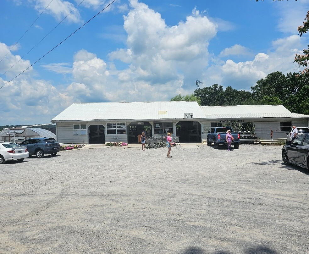 Delano Community Farm Market-Delano必去景点