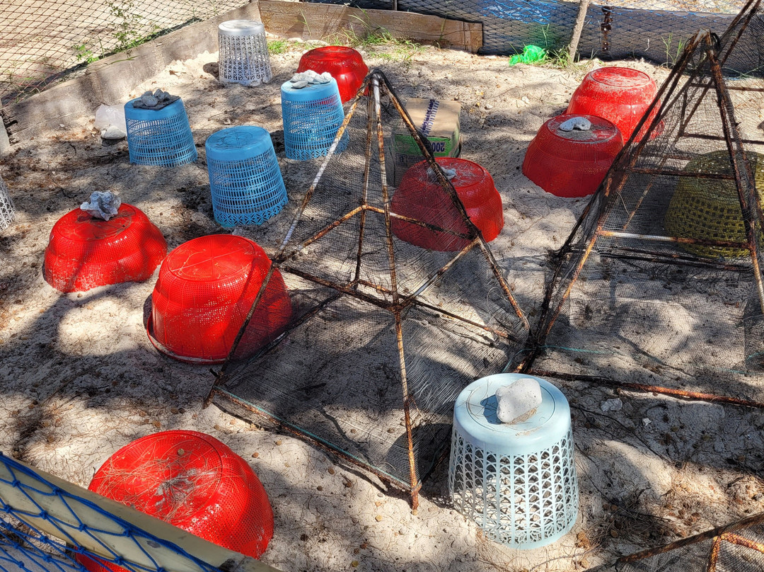 Gili Meno Turtle Sanctuary-Gili Meno必去景点