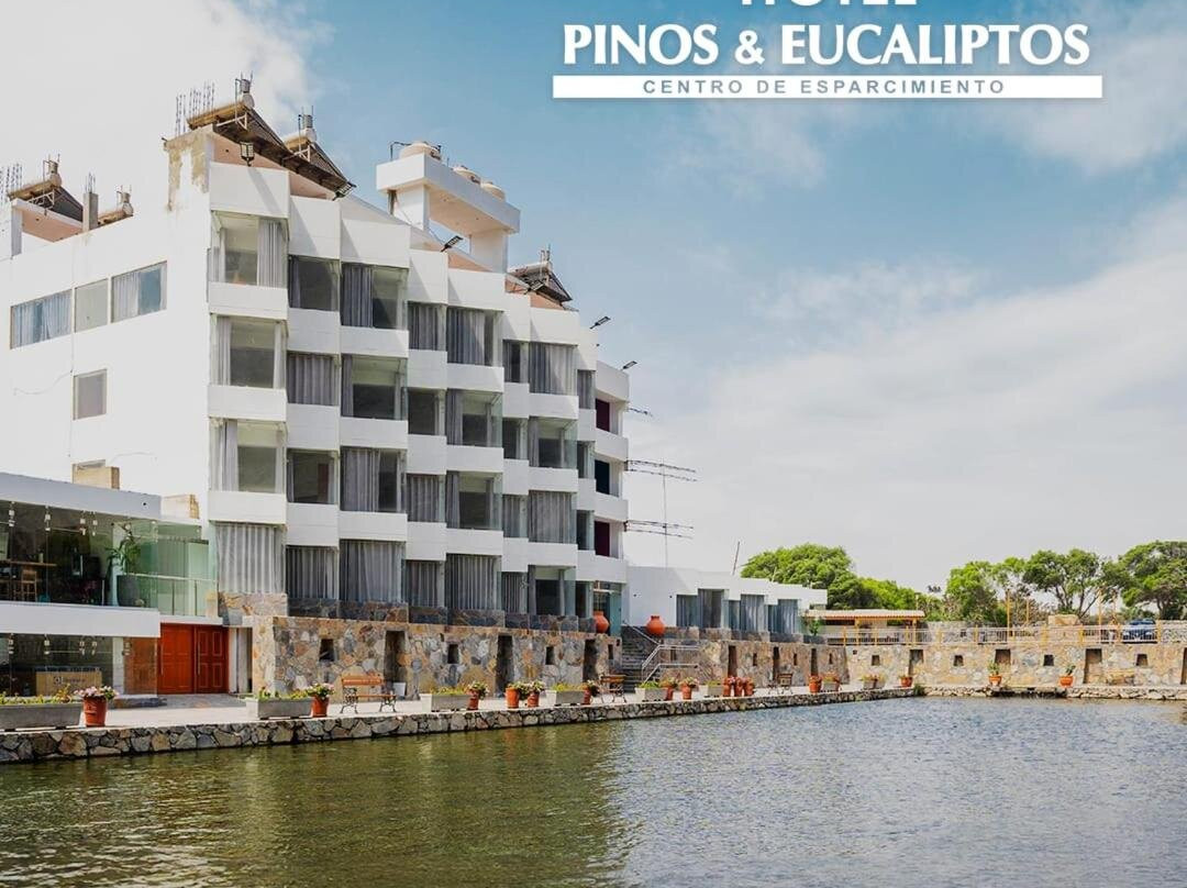 Hotel Pinos y Eucaliptos