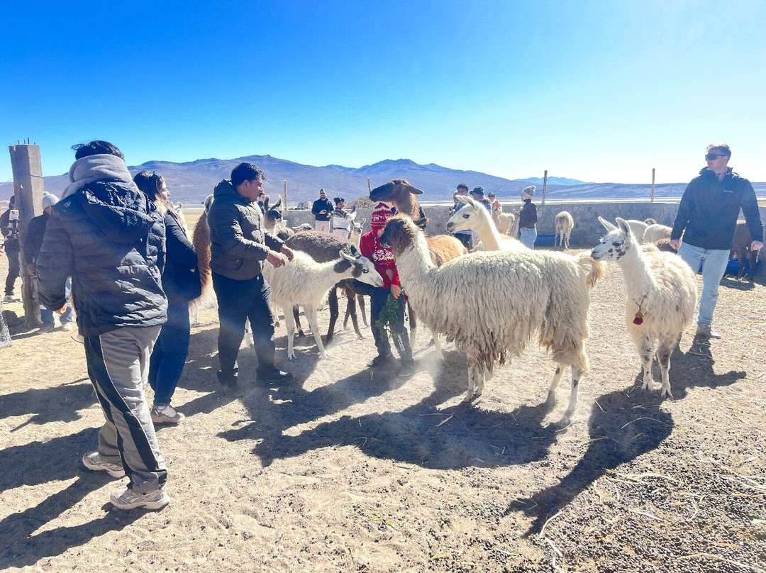 Salinas y Aguada Blanca National Reserve-阿雷基帕必去景点