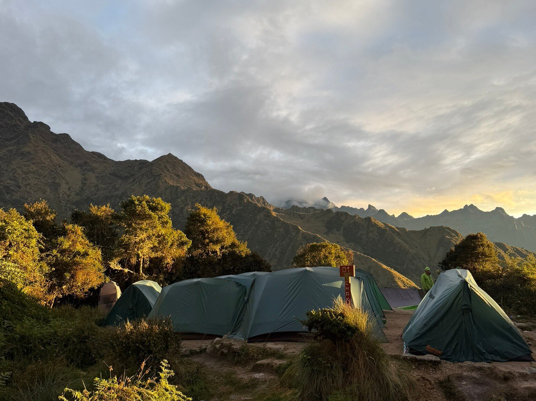 Alpaca Expeditions-库斯科必去景点