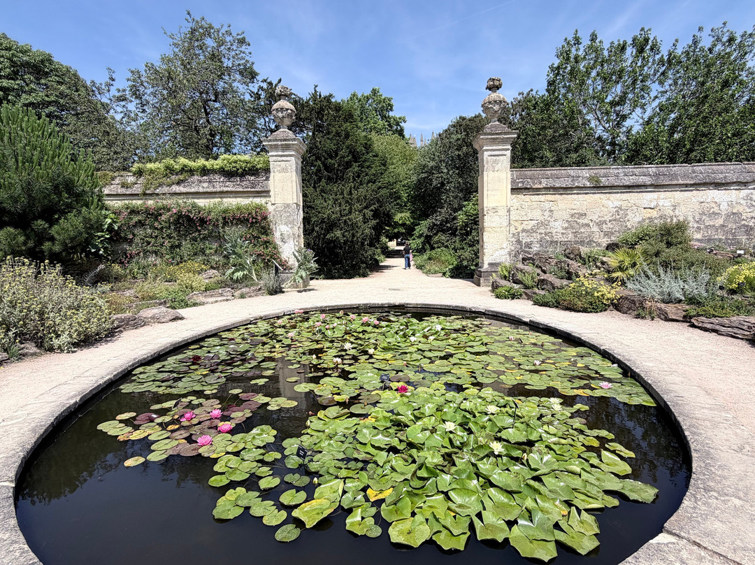 University of Oxford Botanic Garden-牛津必去景点