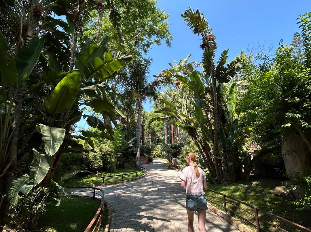 Bioparc Fuengirola-福恩吉罗拉必去景点