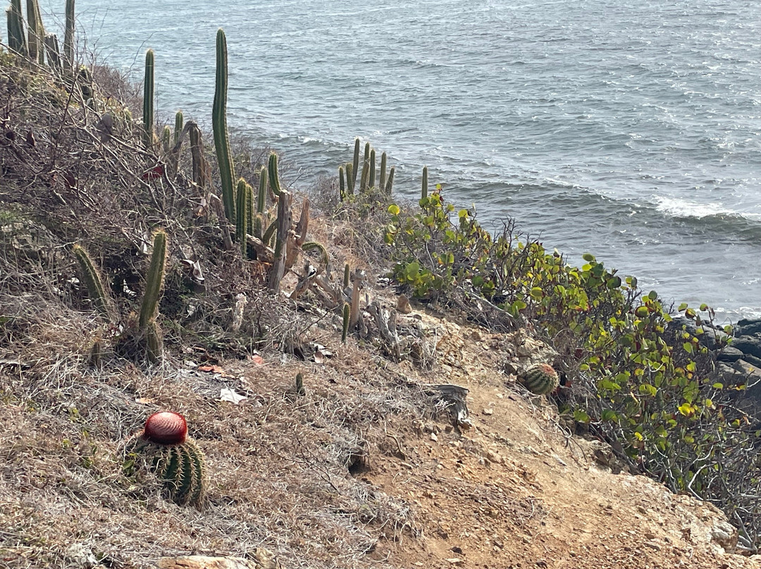 Mount Vernon Hike To Orient Bay