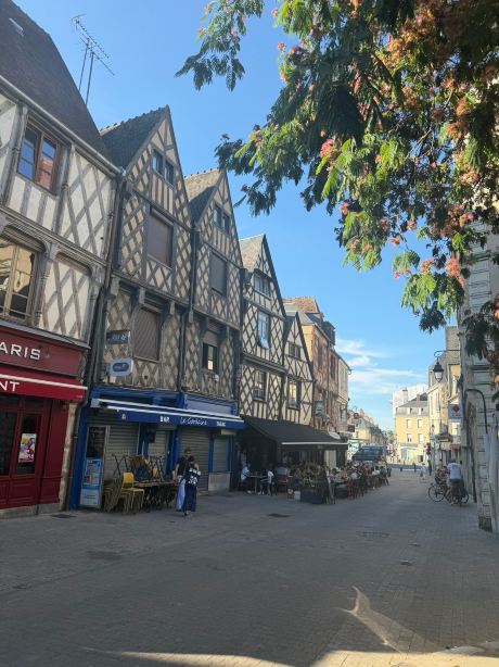 Best Western Plus Hotel DAngleterre-旅行者