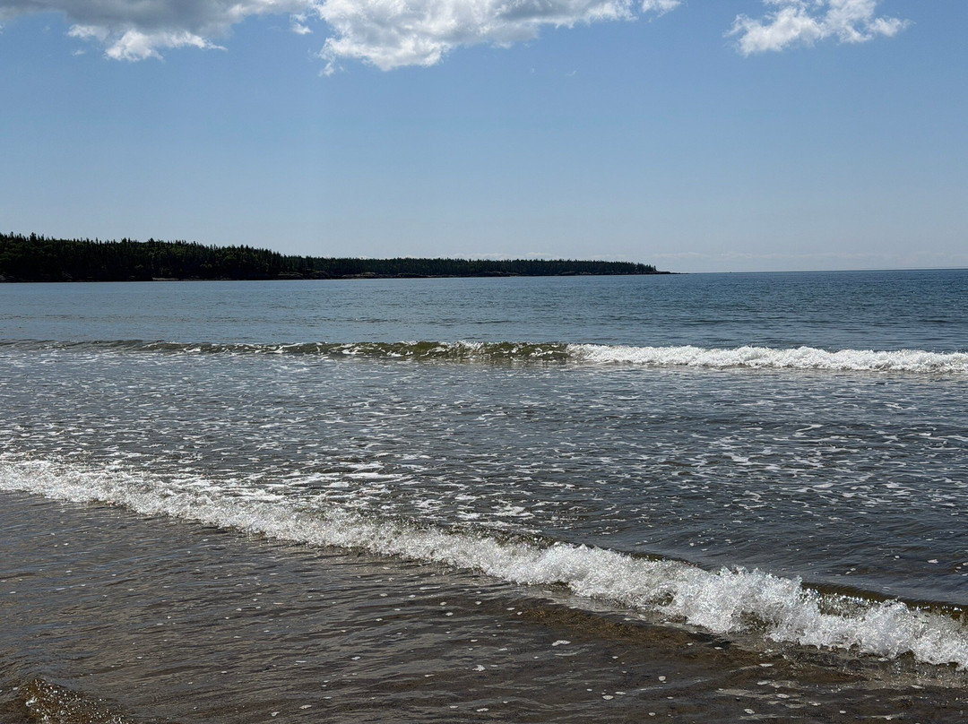 New River Beach Provincial Park-New River Beach必去景点