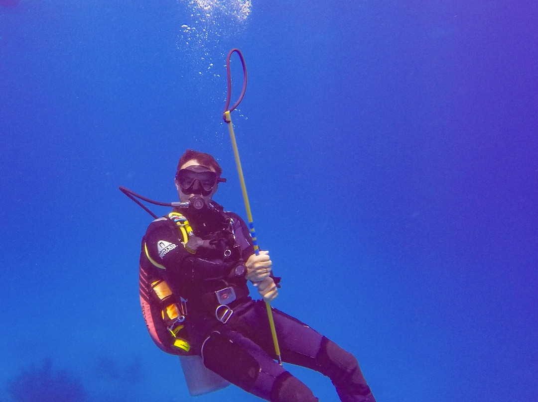 Dive Bermuda at Somerset-Sandys Parish必去景点