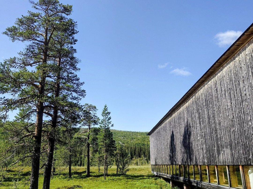 Njupeskär Vattenfall-Sarna必去景点