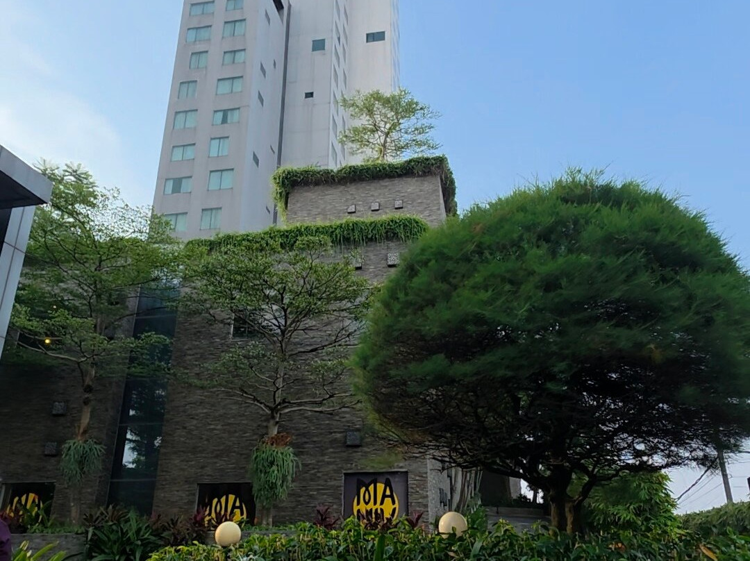 阿丽拉梭罗酒店主图