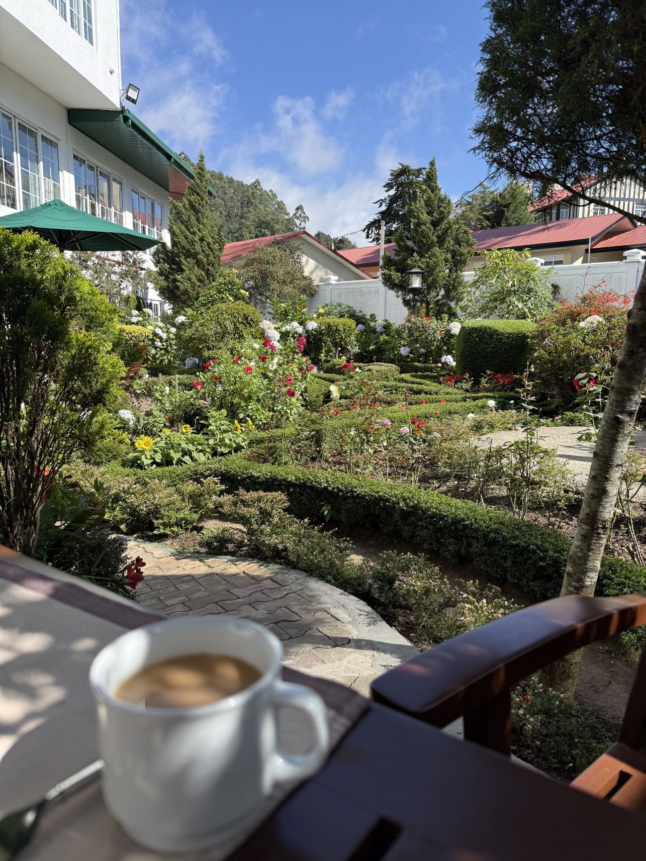 阿拉利亚绿野仙居酒店-旅行者