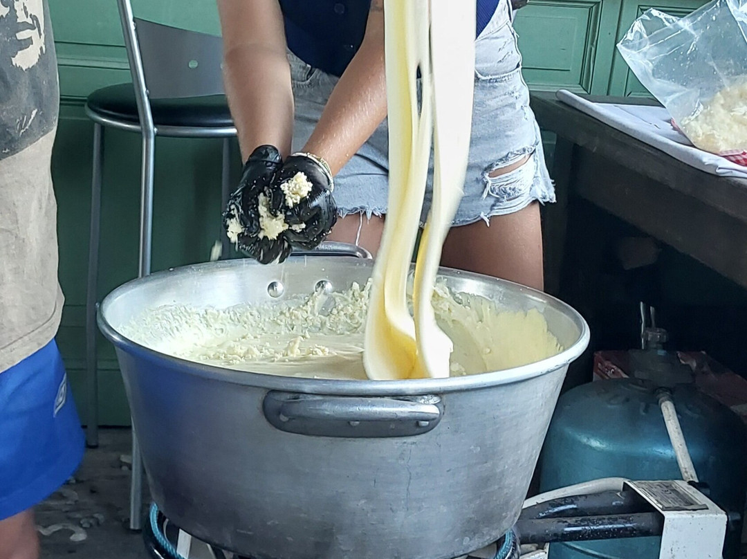La Ferme de Tessi