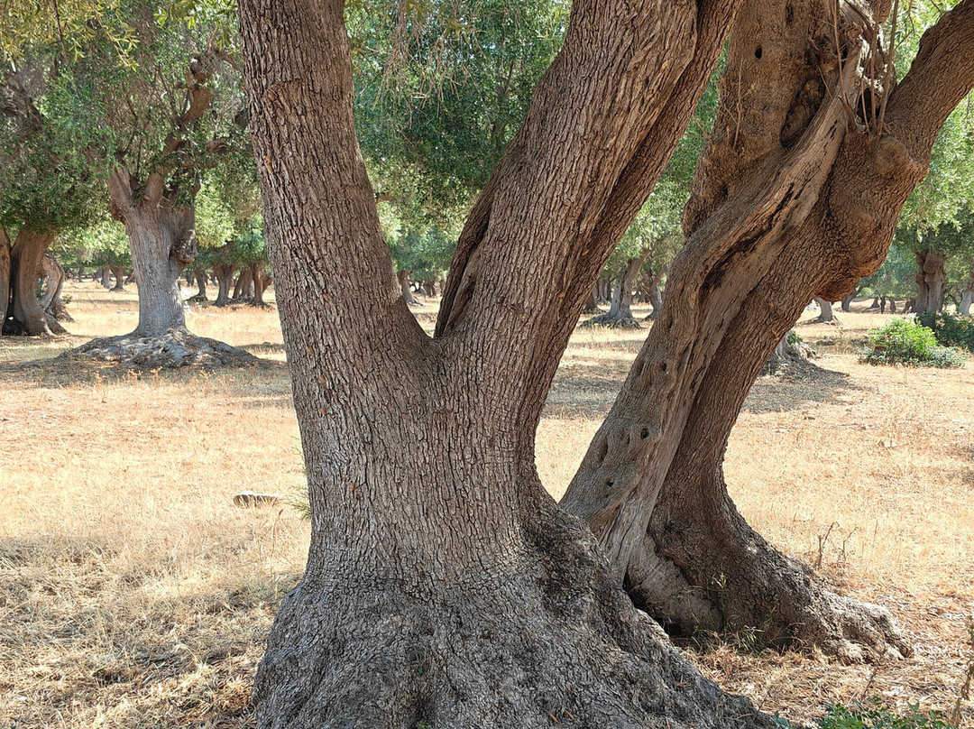 Parco Naturale della Maremma-Alberese必去景点