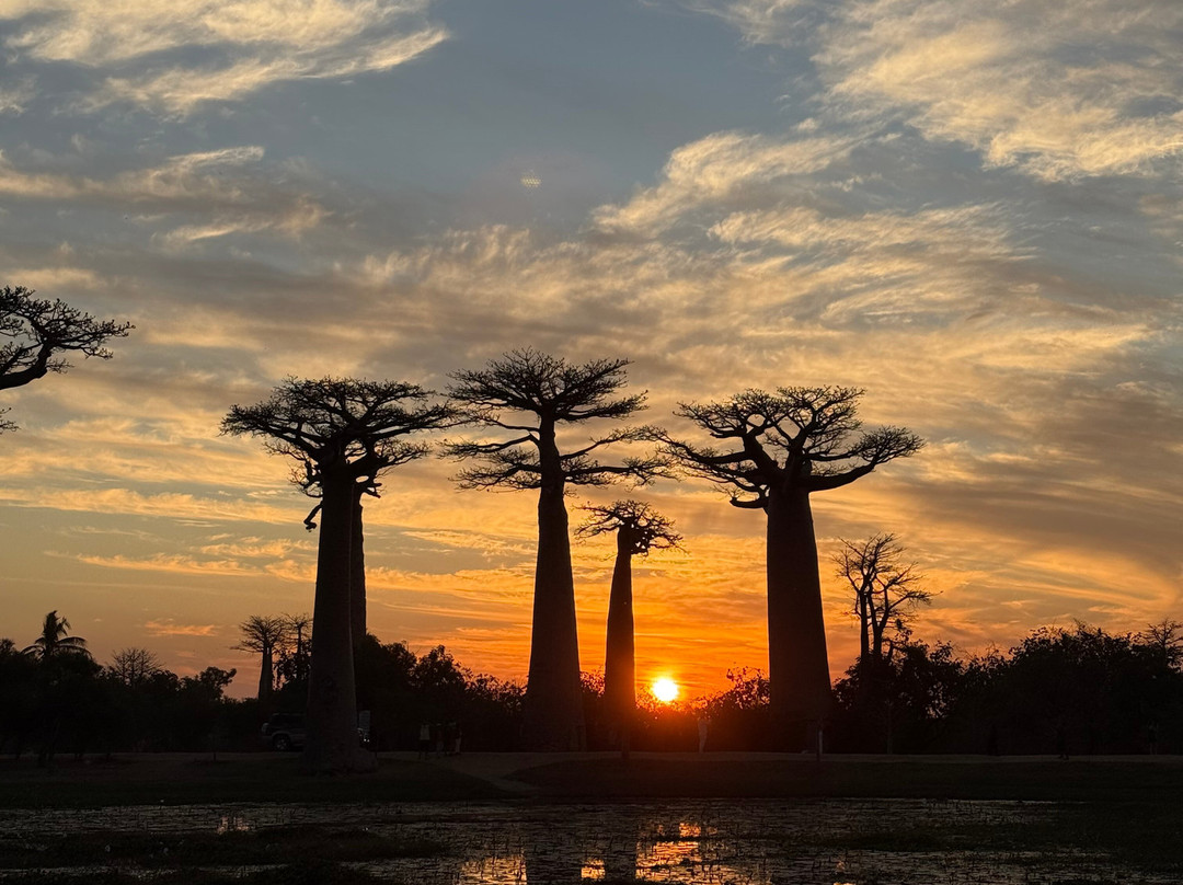 Madagascar Green Tours-安齐拉贝必去景点